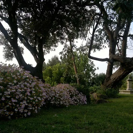 Vila Les Agathea Saint Tropez